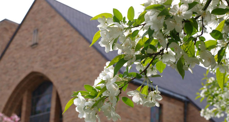 Can’t Attend the 2020 Puritan Reformed Conference? Watch it Online!